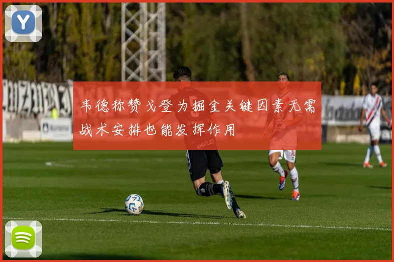 韦德称赞戈登为掘金关键因素无需战术安排也能发挥作用