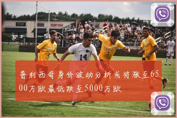 普利西奇身价波动分析或将涨至6500万欧最低跌至5000万欧